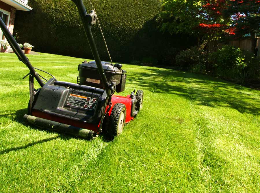 Rental Tools and Equipment to Get Your Lawn Ready This Spring